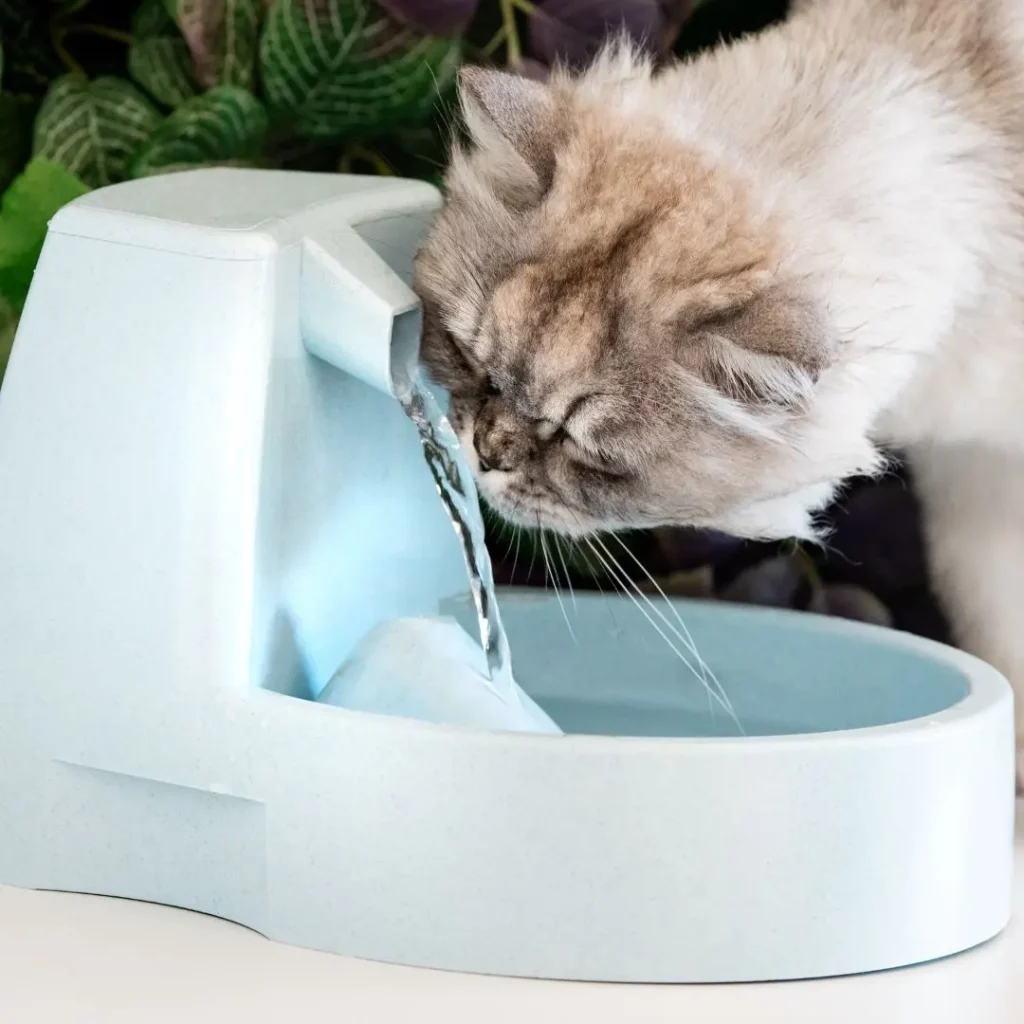 Fuentes de agua de para gatos sin cables